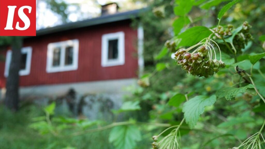 5 suurinta virhettä kesämökin omistajien tekemisiä - isännöitsijä on nähnyt kaikki